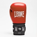 Leone Boxhandschuhe Ambassador 2