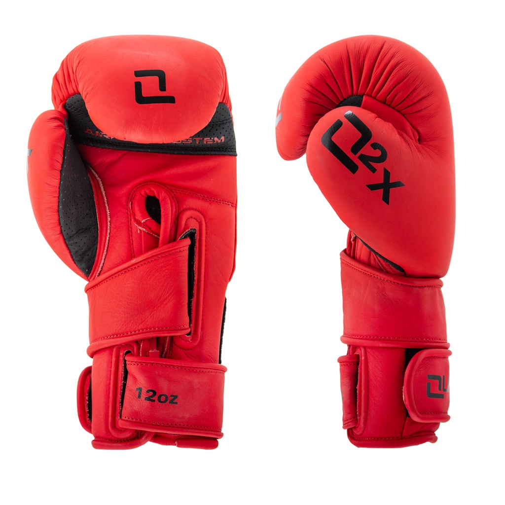 Quantum Boxhandschuhe Q2X Leder