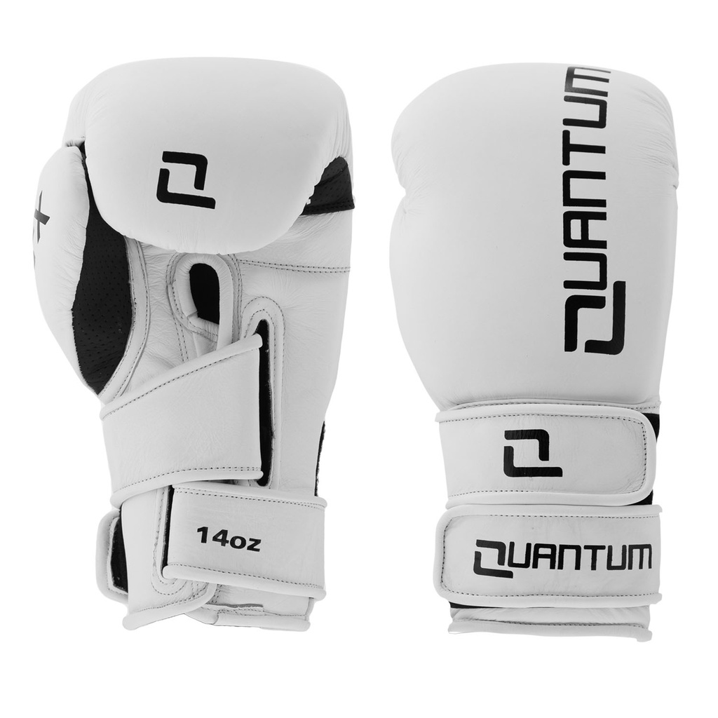 Quantum Boxhandschuhe Q2X Leder