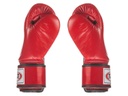 Fairtex Boxhandschuhe BGV1 3