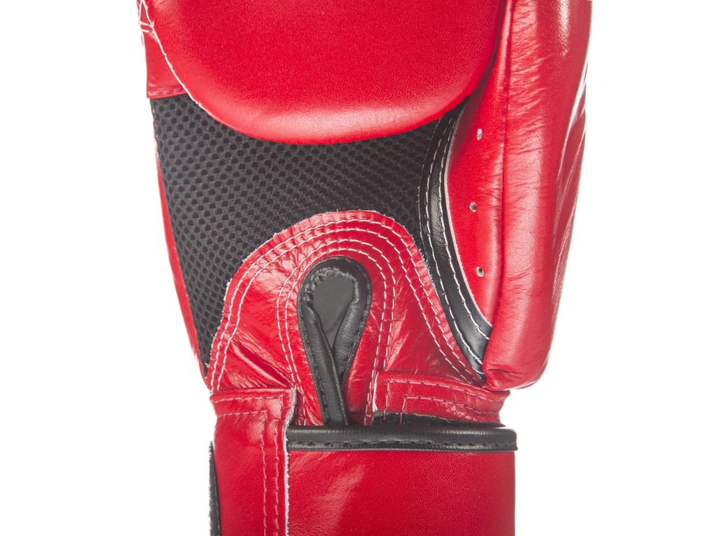 Fairtex Boxhandschuhe BGV1 5