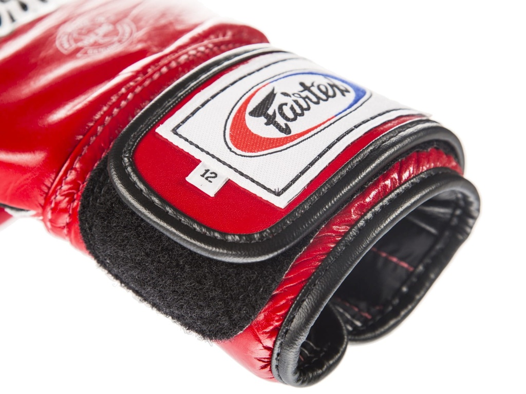 Fairtex Boxhandschuhe BGV1 8