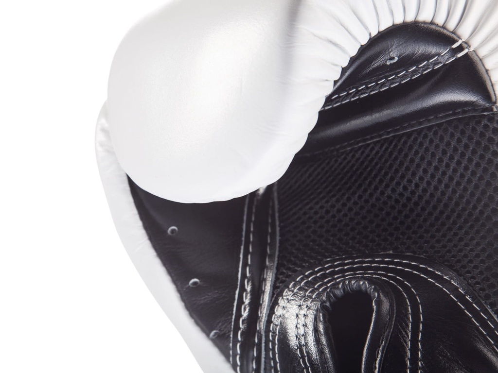 Fairtex Boxhandschuhe BGV1 Breathable 7