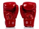 Fairtex Boxhandschuhe BGV19 4