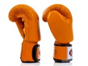 Fairtex Boxhandschuhe BGV19 2