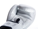 Fairtex Boxhandschuhe BGV19 5