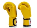 Fairtex Boxhandschuhe BGV19 3