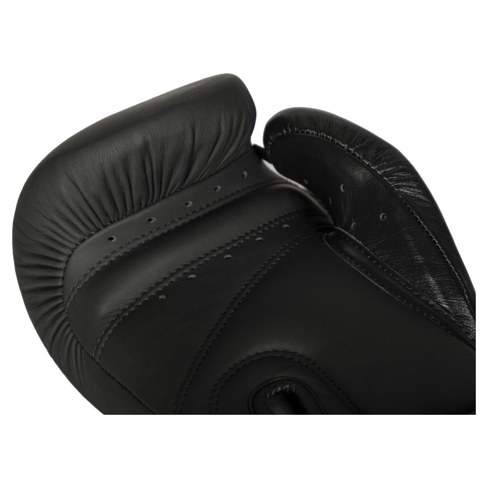 Paffen Sport Boxhandschuhe Stealth