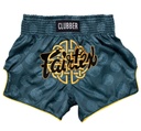 Fairtex Muay Thai Shorts BS1915