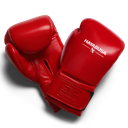 Hayabusa Boxhandschuhe Pro