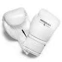 Hayabusa Boxhandschuhe Pro