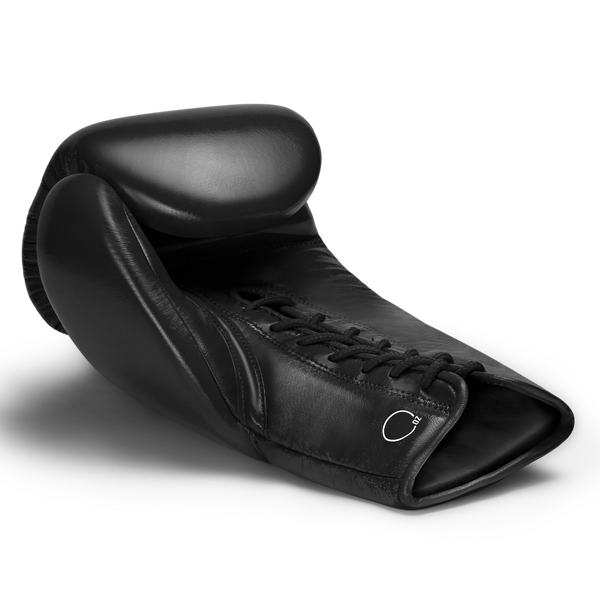 Hayabusa Boxhandschuhe Pro Fight Pferdehaar mit Schnürung