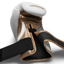 Hayabusa Boxhandschuhe T3