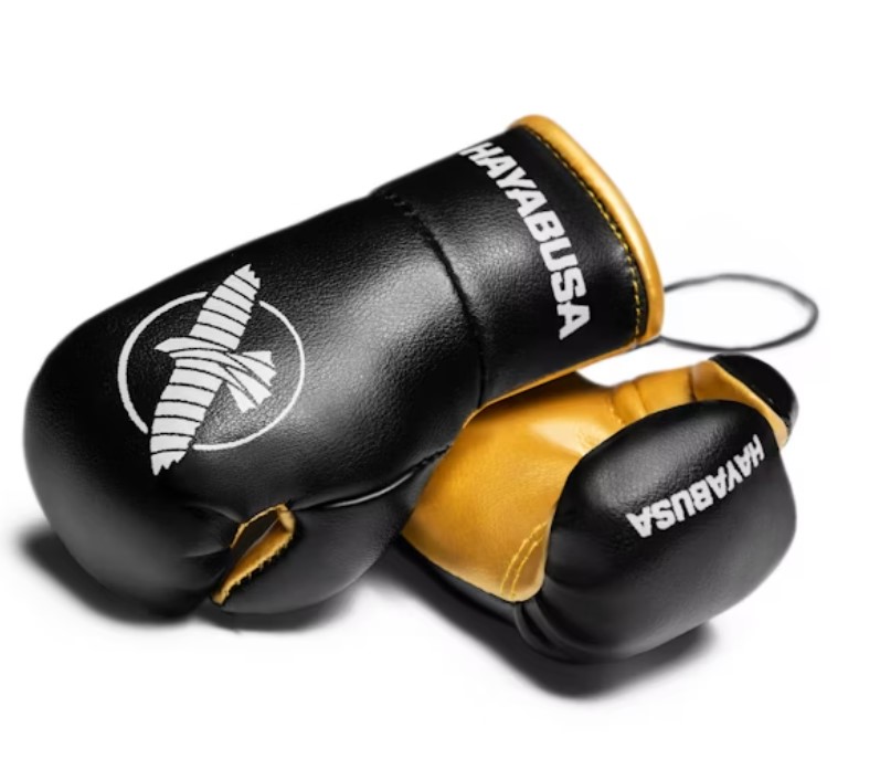 Hayabusa Mini Boxhandschuhe