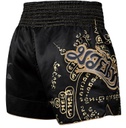 Hayabusa Muay Thai Shorts Falcon