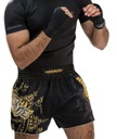 Hayabusa Muay Thai Shorts Falcon