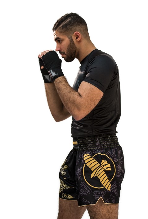 Hayabusa Muay Thai Shorts Falcon