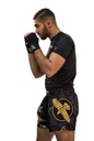 Hayabusa Muay Thai Shorts Falcon