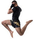 Hayabusa Muay Thai Shorts Falcon