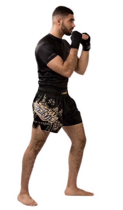 Hayabusa Muay Thai Shorts Falcon