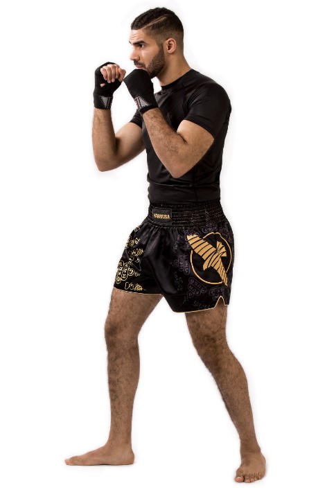 Hayabusa Muay Thai Shorts Falcon