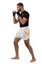 Hayabusa Muay Thai Shorts Falcon