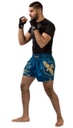 Hayabusa Muay Thai Shorts Falcon