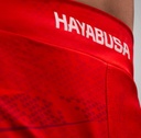Hayabusa Fight Shorts Arrow