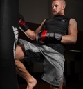 Hayabusa Fight Shorts Hexagon