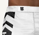 Hayabusa Fight Shorts Icon