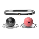 Hayabusa Reflex Ball Kit, Black