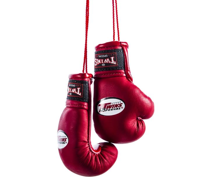 Twins Mini Boxing Gloves, Red