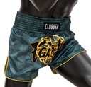 Fairtex Muay Thai Shorts BS1915, Blau