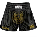 Phantom Muay Thai Shorts Sak Yant, Black-Gold