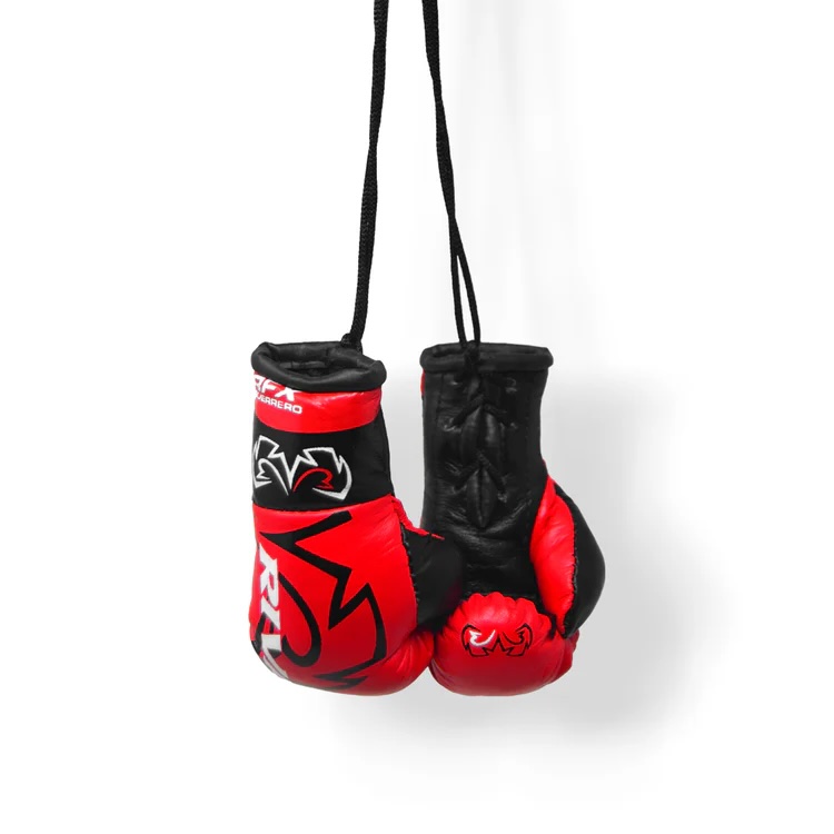 Rival Mini-Boxing Glove, Red-Black
