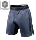 Hayabusa Fight Shorts Core Long, Blau