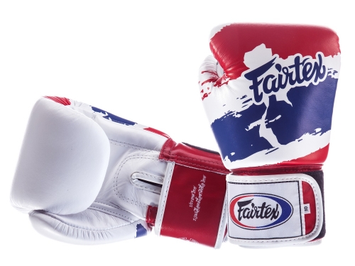 Fairtex Boxing Gloves BGV1 Thai Pride 