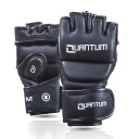 Quantum Q2 MMA Training Gloves