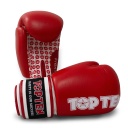 Top Ten Boxhandschuhe Fight