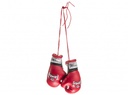 Top King Mini Boxing Gloves TKHKM-01, Red