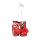 Rival Mini Boxing Gloves