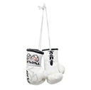 Rival Mini Boxhandschuhe