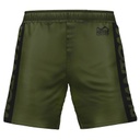 Phantom Fight Shorts Evo Apex, Green