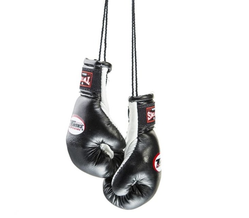 [MBG-1-S-W] Twins Mini Boxing Gloves, Black