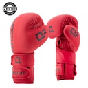 Quantum Boxing Gloves Q2