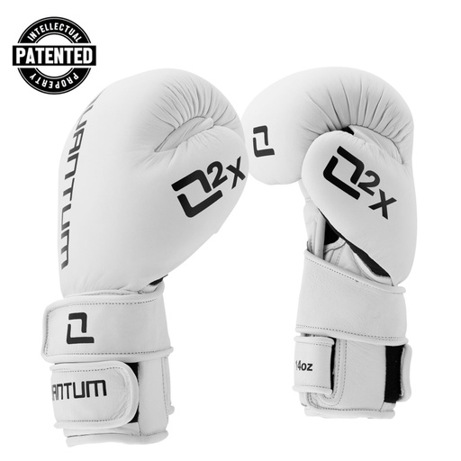 Quantum Boxing Gloves Q2X Leather