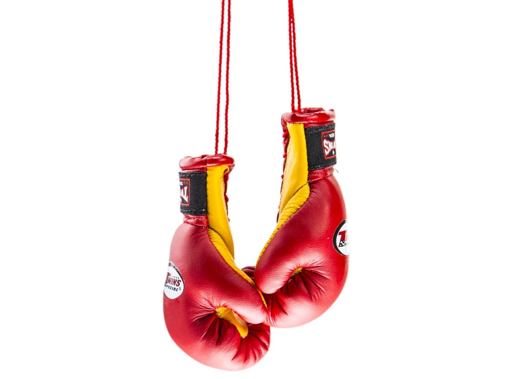 Twins Mini Boxing Gloves, Red-Yellow