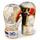 Phantom MMA Gloves Sparring Muay Thai LE