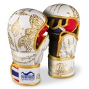 Phantom MMA Handschuhe Sparring Muay Thai LE