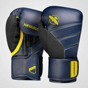 Hayabusa Boxing Gloves T3